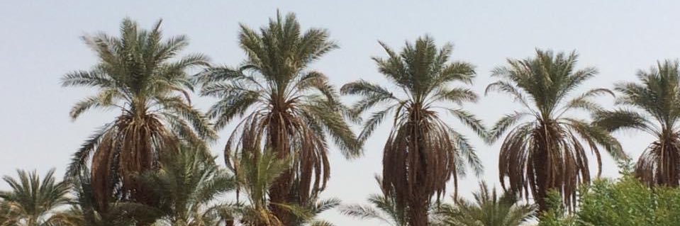 Neelbrou's profile banner image