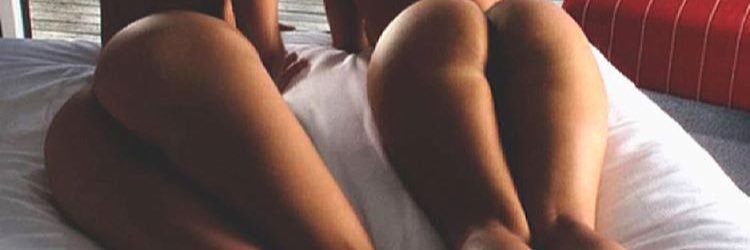Ivonnethy's profile banner image