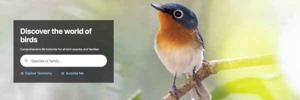 Birds of The World: Cornell Lab Profile Banner