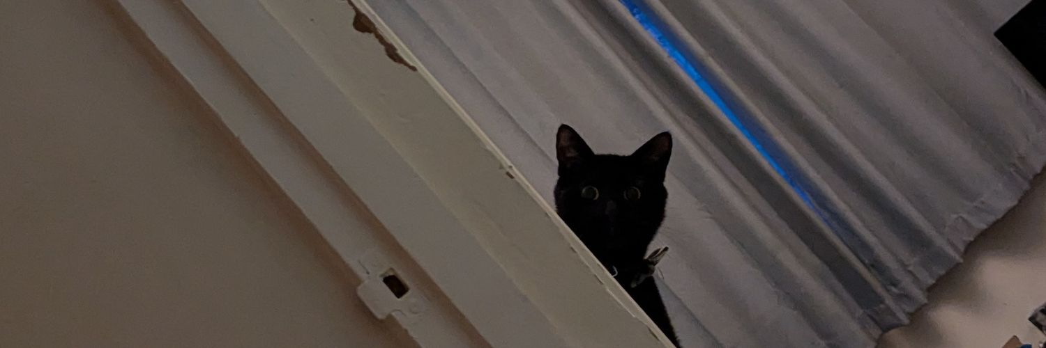 localcrowboy's profile banner image