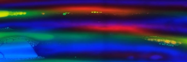 EmmaProcterLegg Profile Banner