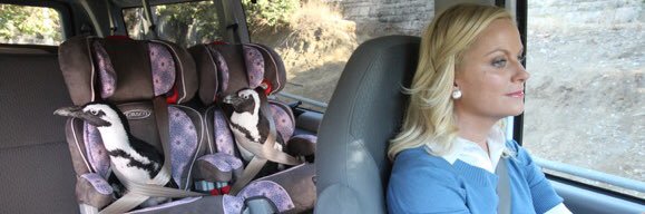 Jérémie MELON banner