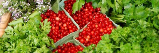 stevestonmarket's profile banner image