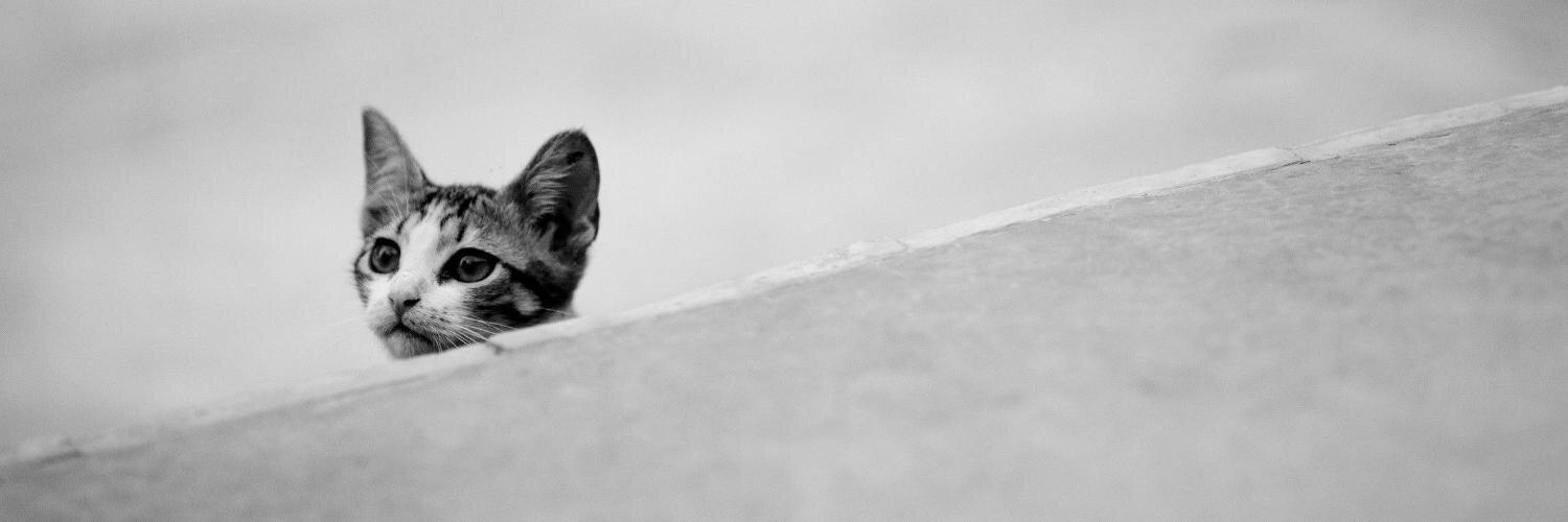 bebebel's profile banner image