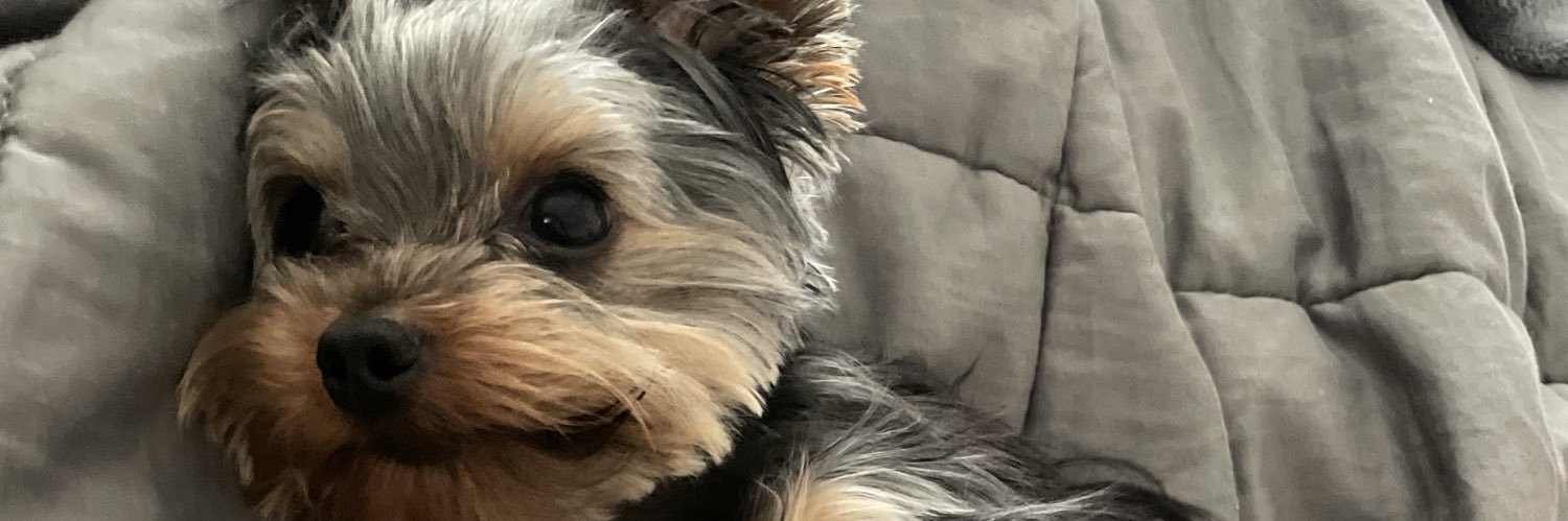 scaarr_xo's profile banner image