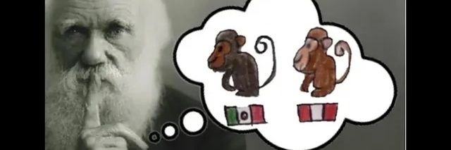 vivas_nicolas's profile banner image