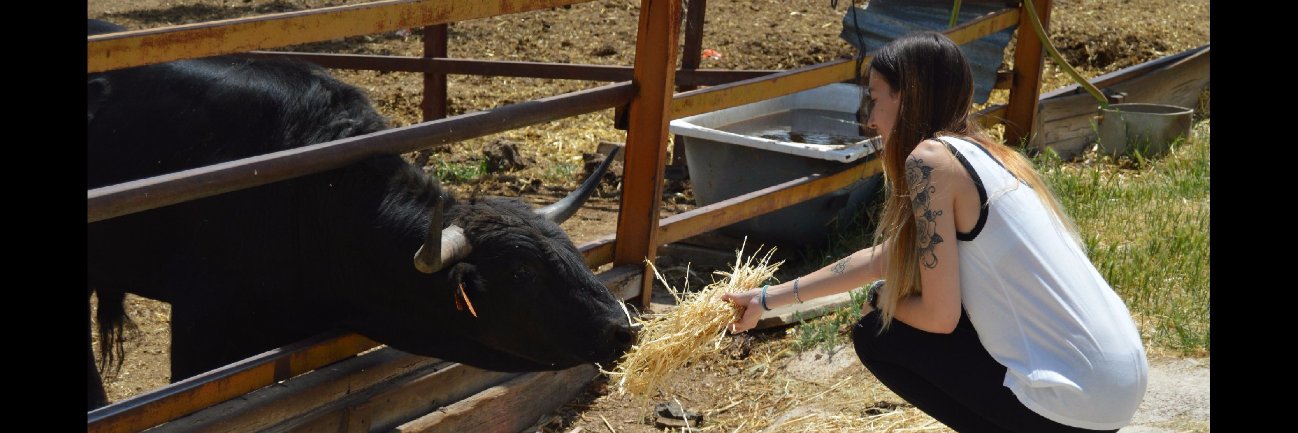 nnoe_28's profile banner image