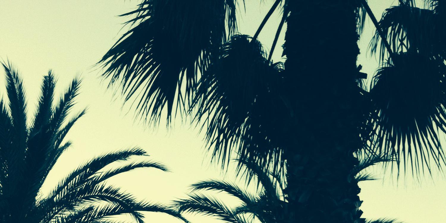 JohanVitez's profile banner image