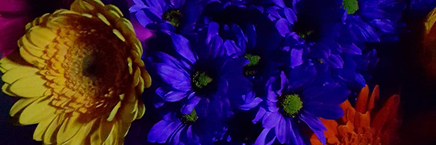 maynaranjog's profile banner image