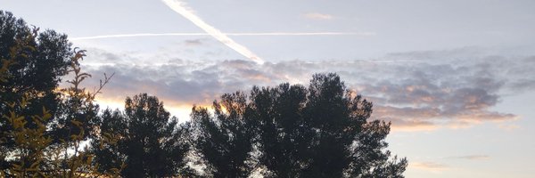 fairytekken Profile Banner