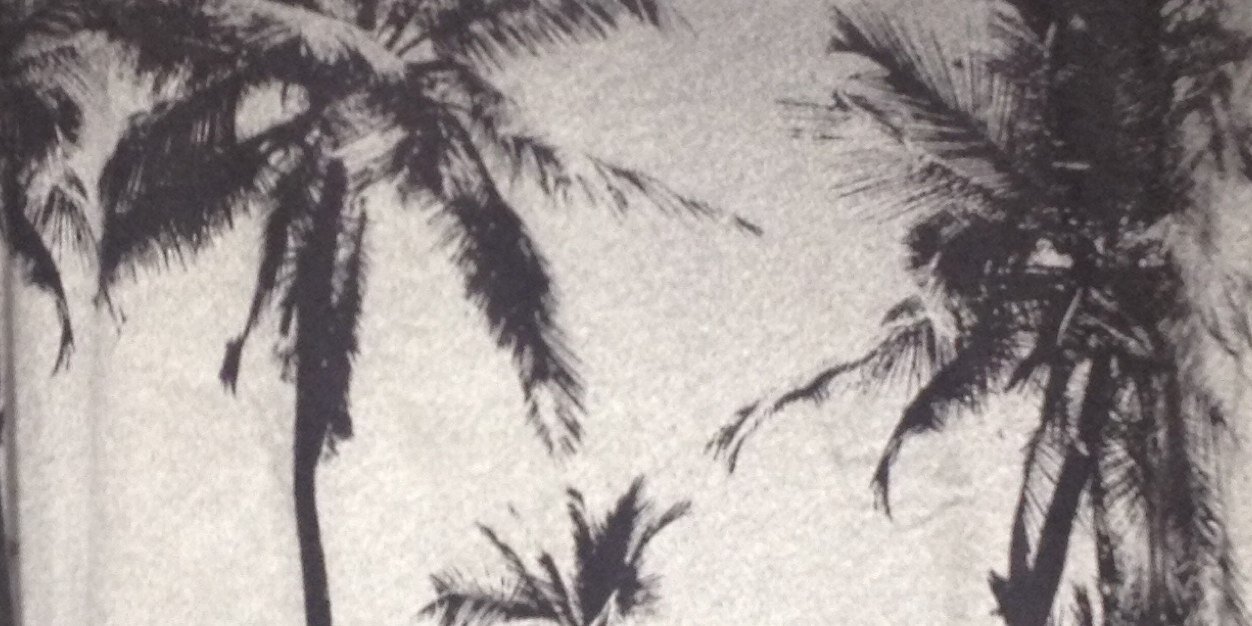 Andrea Molero banner