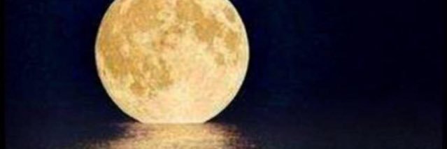 n2aif2's profile banner image