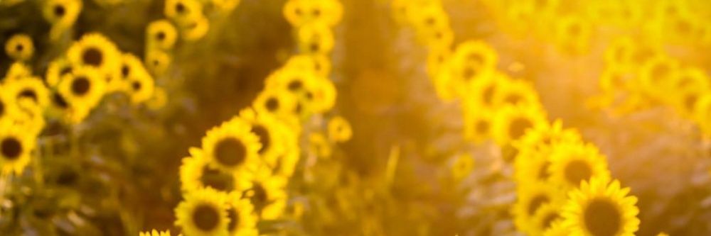 JAgin23's profile banner image