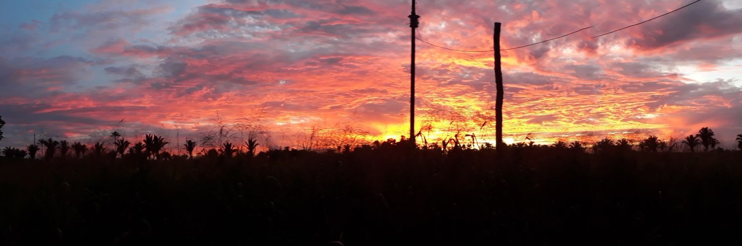 anapaula36's profile banner image