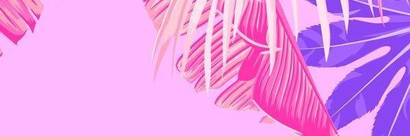 lolitaboada's profile banner image