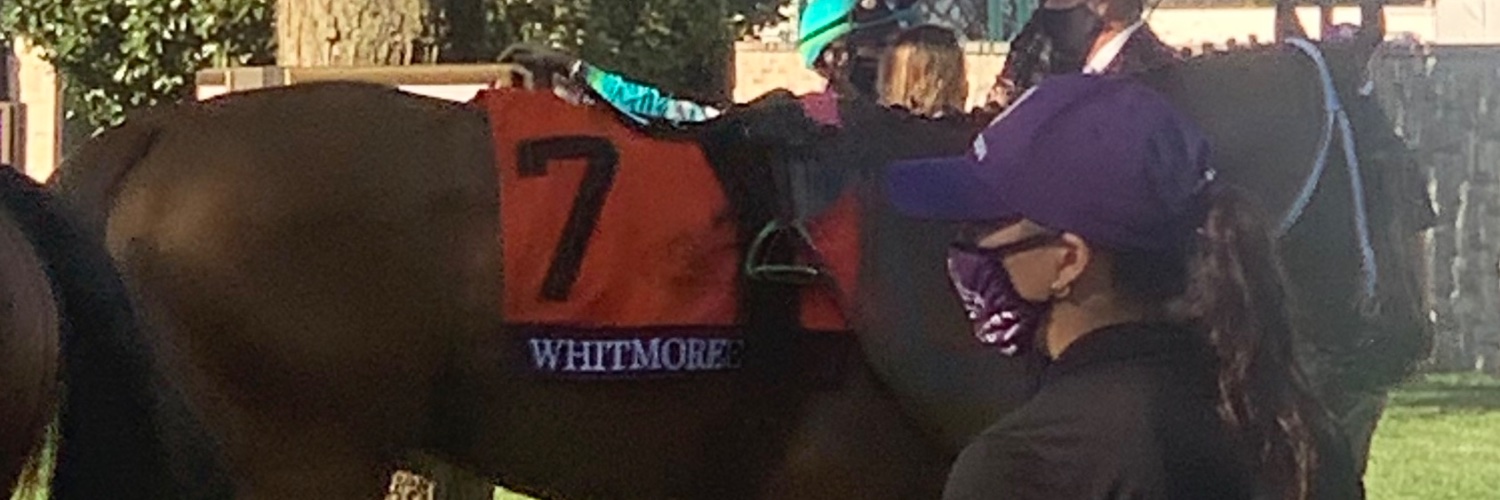 Nikki banner