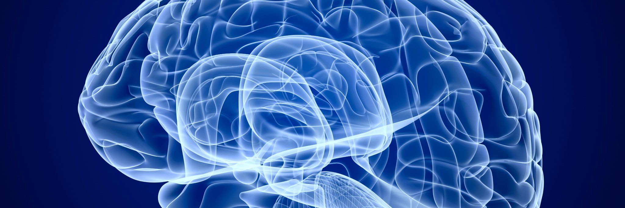 UT Neurosurgery's banner