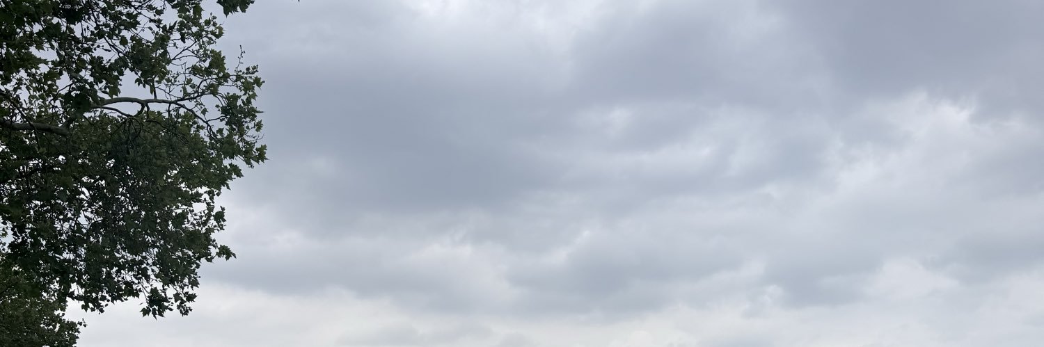 MaximeDoD_'s profile banner image