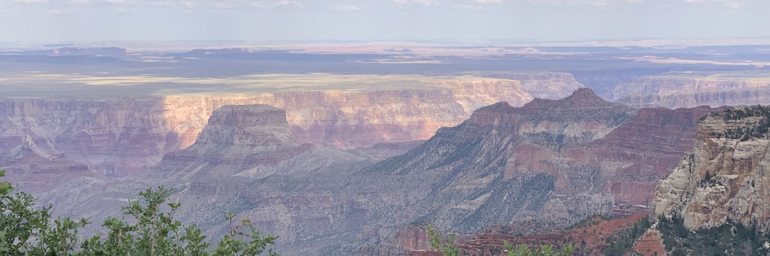 rebecca dikow banner