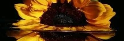 ItsPamC's profile banner image