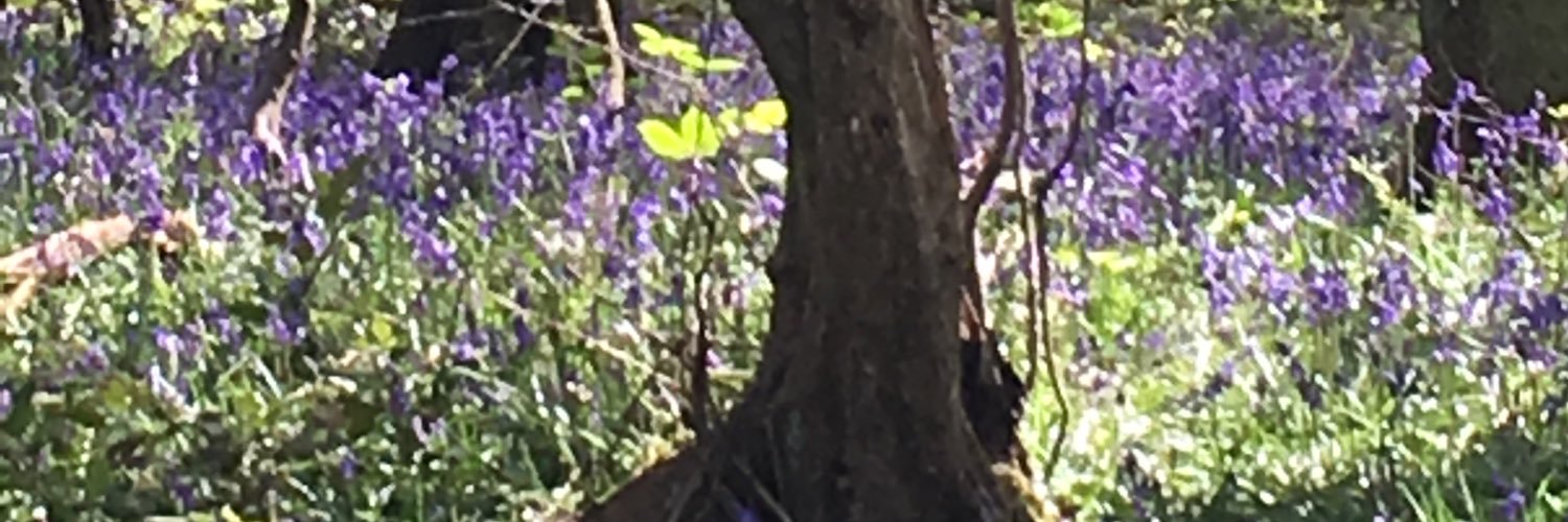 HealyKaye's profile banner image