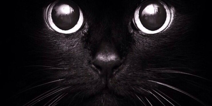 luckygr01's profile banner image