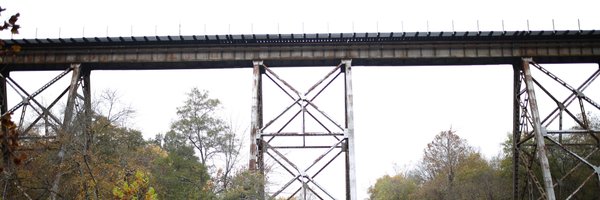 ProgressIndex Profile Banner