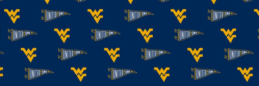 WVU Sport Management banner