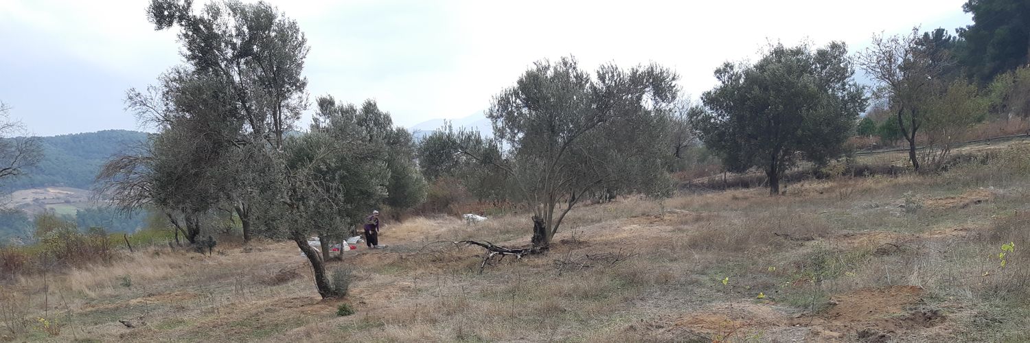 guraysecil's profile banner image