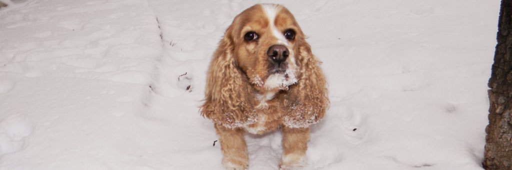 madeline_m15's profile banner image