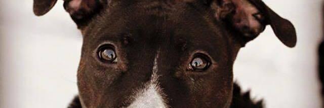 LoisConti's profile banner image
