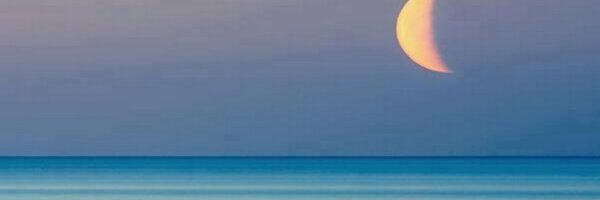 Jan_sent2cents Profile Banner