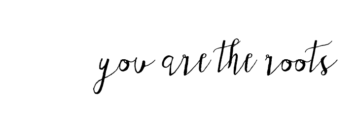 CryscatPTY's profile banner image