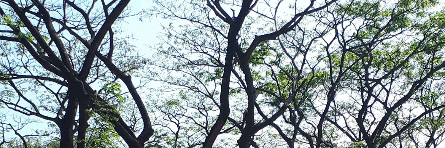 MICHE1300's profile banner image