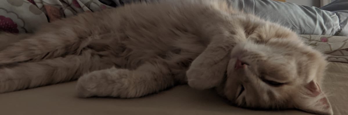FValentinaaaaaa's profile banner image