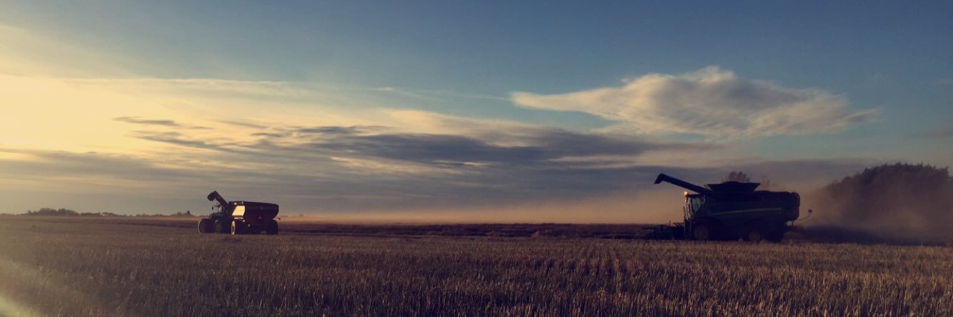 BaileySjogren's profile banner image