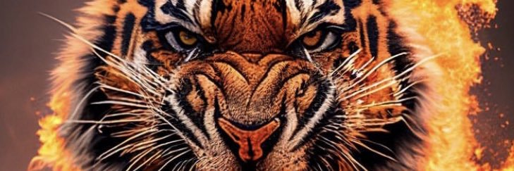 EckoStarZ's profile banner image