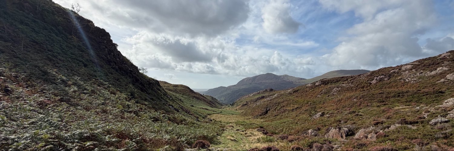 adamcaulfield's profile banner image