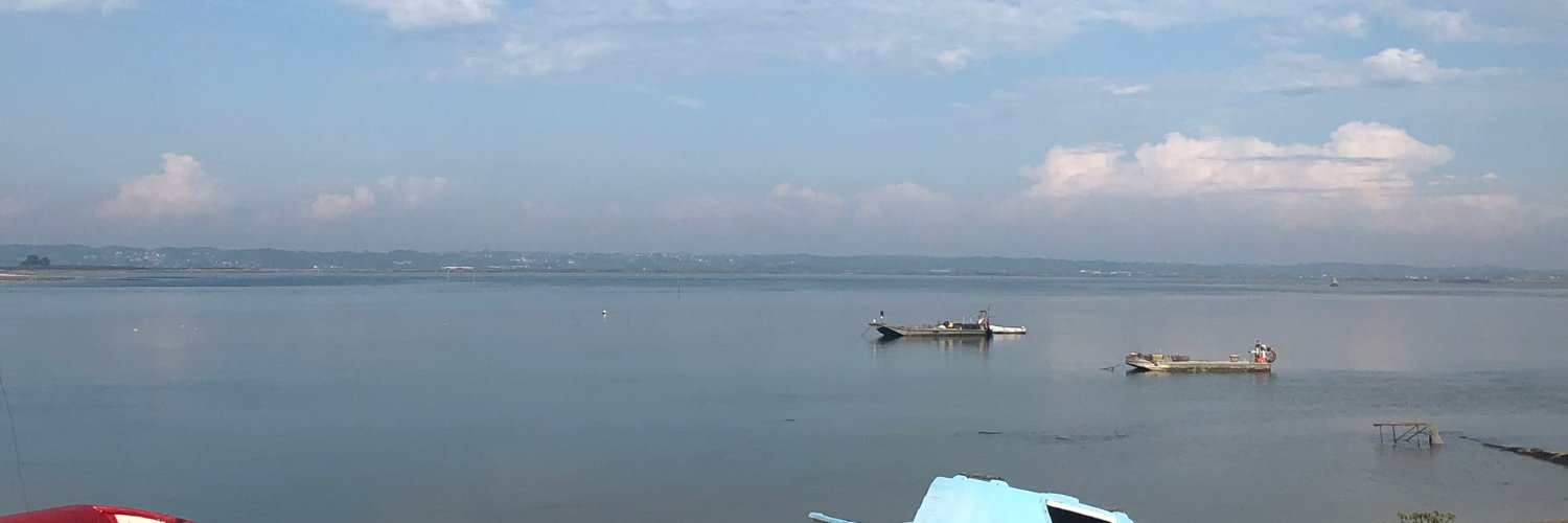 Emmanuelle Malecaze Doublet banner