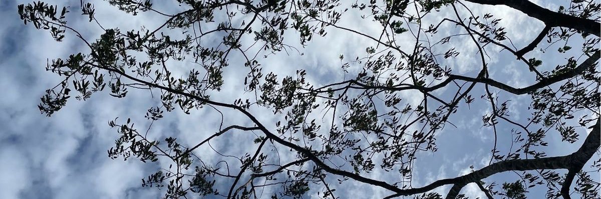 paaolahc's profile banner image