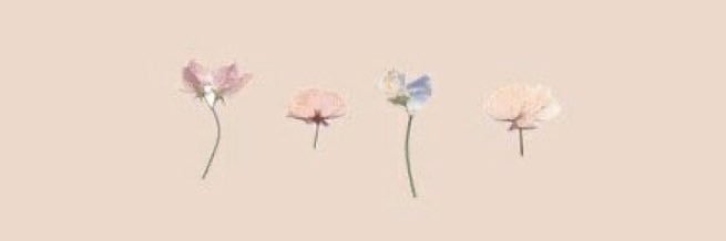 Carly banner