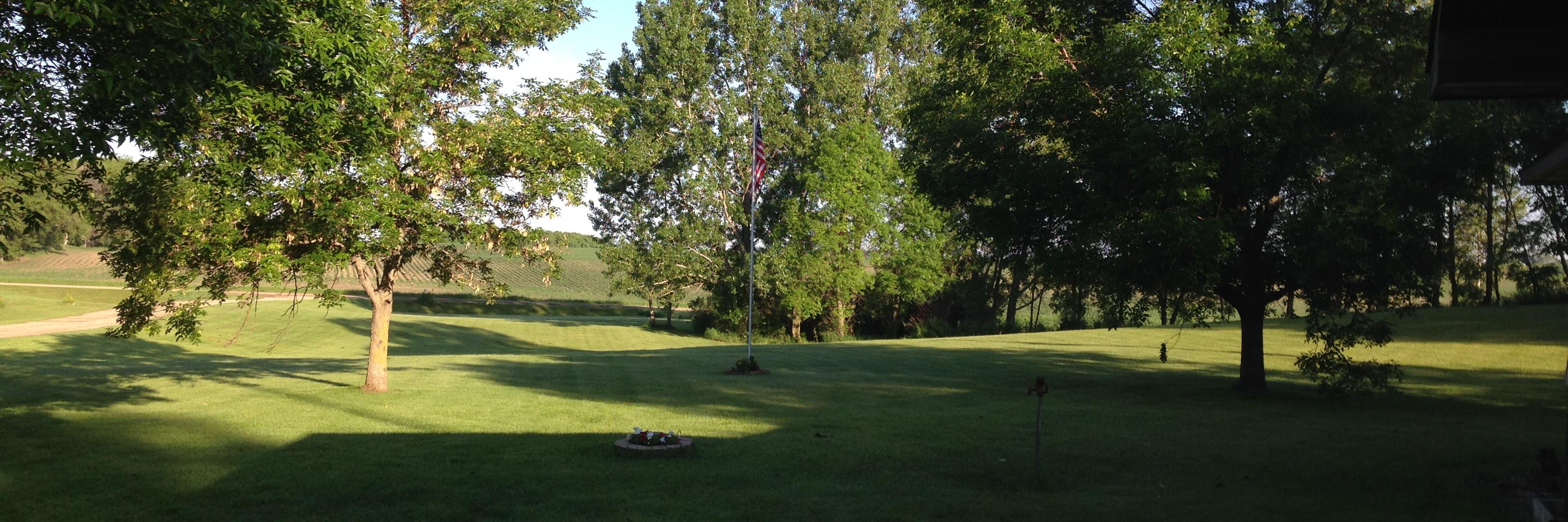 Vikings Rule? 🤷‍♂️ banner