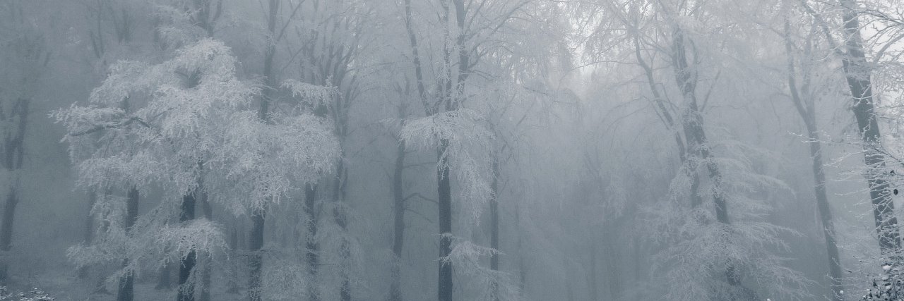 Sugarrwolf's profile banner image