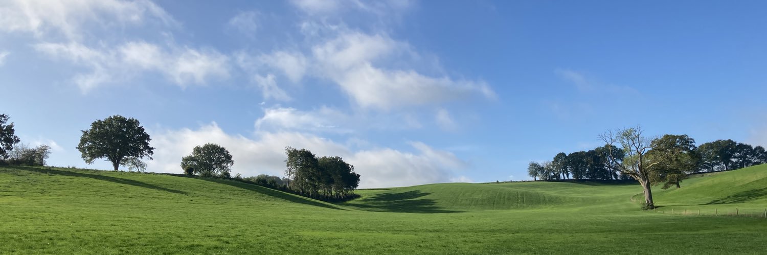 WimVdL's profile banner image