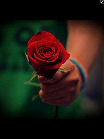 el7meryah's profile banner image