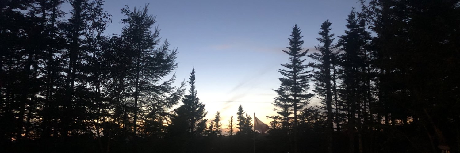 raylene_ball's profile banner image