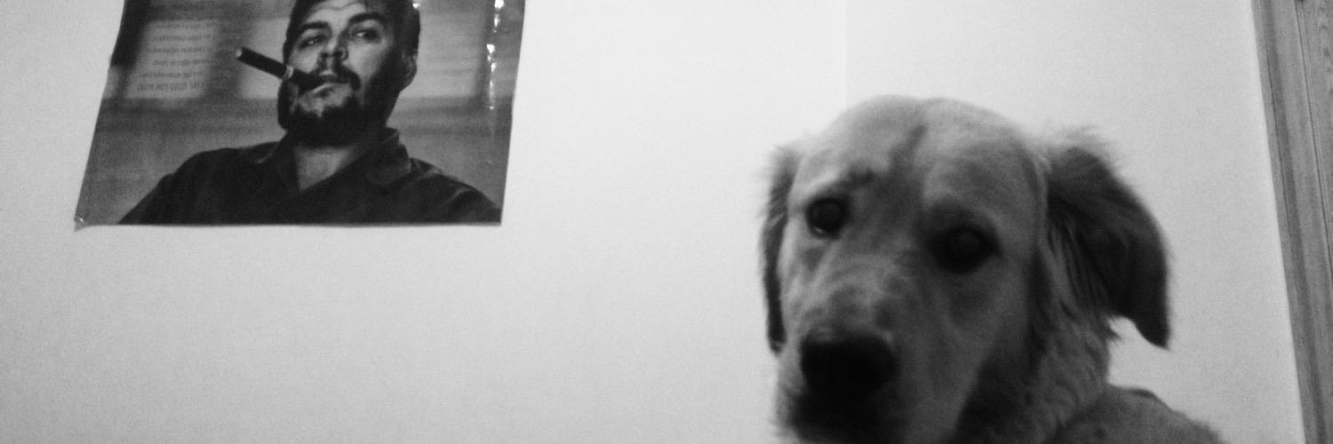 eceberfuk's profile banner image