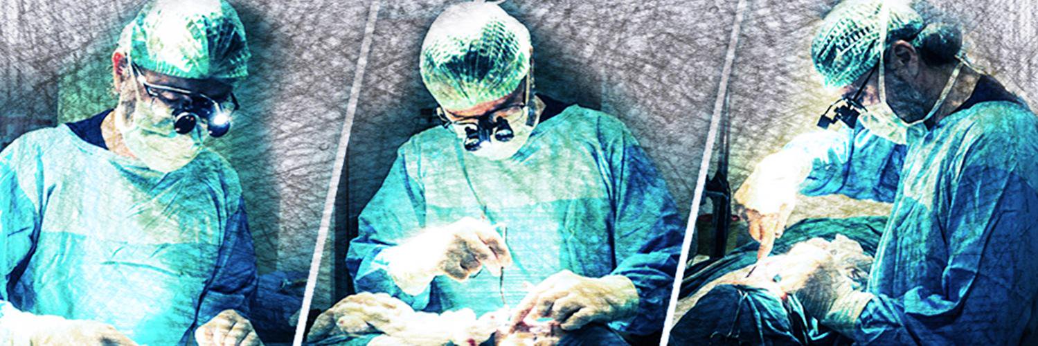 DrTHaliloglu's profile banner image