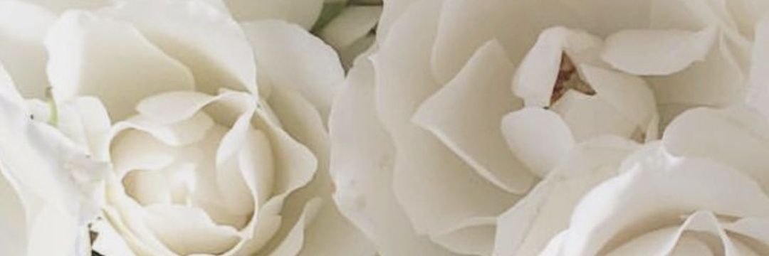 Angelaa_MR's profile banner image