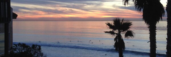 ms1sd Profile Banner